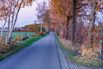 Obraz premium Autumn evening tranquility on a quiet rural road lined with trees and fields