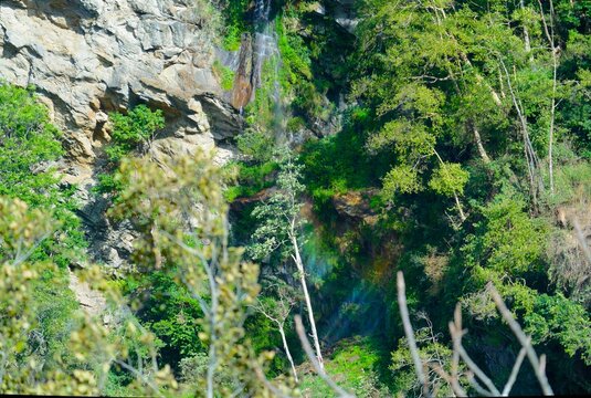 waterfall in the forest and rainbow