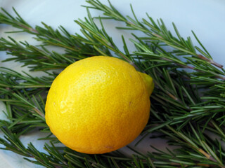 Fresh Yellow Lemon Resting on Green Rosemary Sprigs, Perfect for Culinary and Aromatic Uses