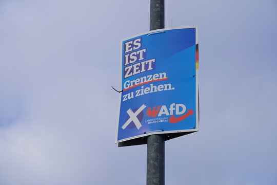Wahlplakat der AfD zur Bundestagswahl 2025 in Potsdam am 12.01.2025