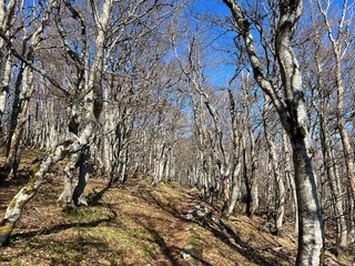 Premuzic hiking trail or Premuzic Trail - Northern Velebit National Park, Croatia or Premuzic-Wanderweg or Premuzic's Trail (Pješački planinarski put Premužićeva staza - NP Sjeverni Velebit, Hrvatska)