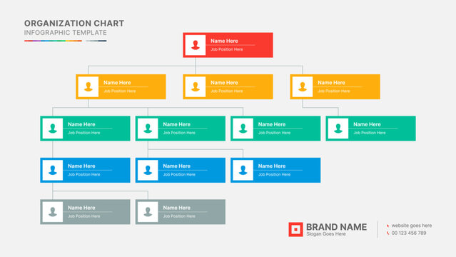 Organizational Chart, Tree Diagram, Dendrogram Business Infographic Template Design	