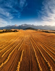 Fototapeta premium Generated image Drone perspective of a golden field at harvest time with distant mountain peaks