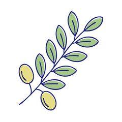 olive branch vector icon, olive branch vector illustration - simple illustration of olive branch, perfect for logos and icons