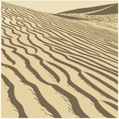 Wind-created wave patterns in desert sand, with soft shadows emphasizing the texture Seamless Pattern Texture