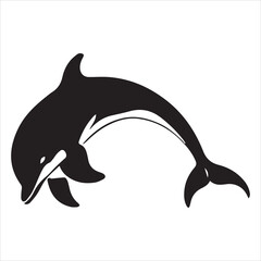 dolphin isolated on white