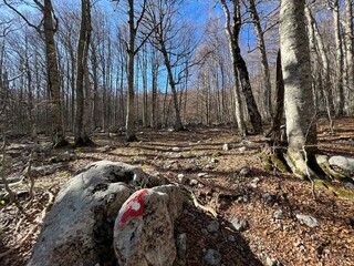 Premuzic hiking trail or Premuzic Trail - Northern Velebit National Park, Croatia or Premuzic-Wanderweg or Premuzic's Trail (Pješački planinarski put Premužićeva staza - NP Sjeverni Velebit, Hrvatska)