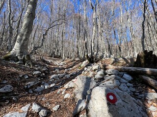 Premuzic hiking trail or Premuzic Trail - Northern Velebit National Park, Croatia or Premuzic-Wanderweg or Premuzic's Trail (Pješački planinarski put Premužićeva staza - NP Sjeverni Velebit, Hrvatska)