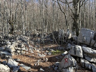 Premuzic hiking trail or Premuzic Trail - Northern Velebit National Park, Croatia or Premuzic-Wanderweg or Premuzic's Trail (Pješački planinarski put Premužićeva staza - NP Sjeverni Velebit, Hrvatska)