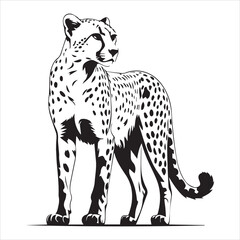 Majestic Cheetah Silhouetted Against White Background