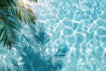 Top view luxury swimming pool with palm shadow  summer background.