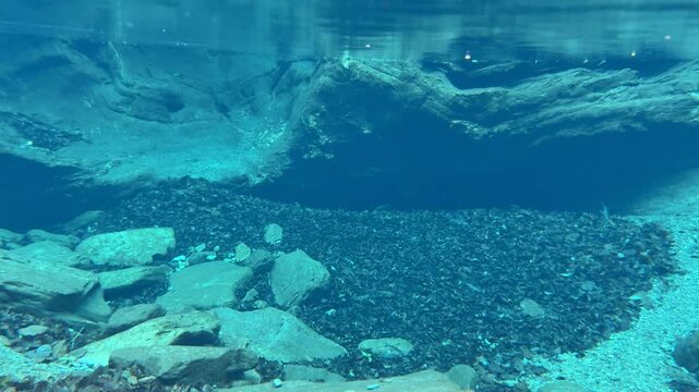 奇跡の清流 仁淀ブルー