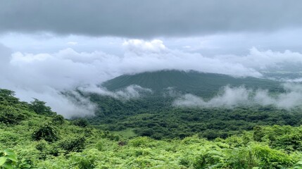 Misty Mountain Landscape: Lush Forest and Clouds