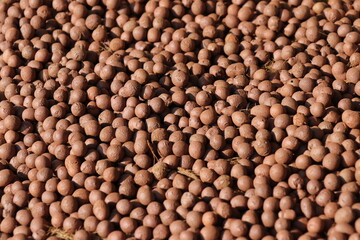 Mulch materials to maintain soil fertility