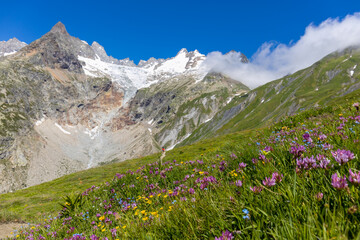 Val Ferret mountain landscape in the Alps. Beautiful alpine scenery of the high mountain summits and green valley in summer under blue sky at sunny weather om Tour du Montblanc