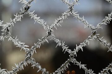Wire fence covered in hoarfrost