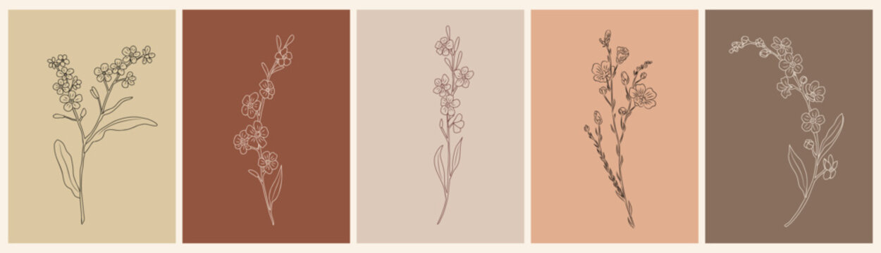 Set of botanical line art drawings of Forget me Not flowers, Myosotis, Scorpion grasses. Vector sketch isolated on terracotta colors backgrounds. Card, poster template.