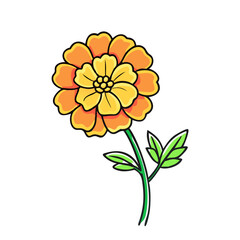 marigold flowers vector icon,marigold flowers vector illustration - simple illustration of marigold flowers ,perfect for logos and iconsmarigold flowers 