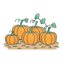 pumpkin patch vector icon,pumpkin patch vector illustration - simple illustration of pumpkin patch ,perfect for logos and iconspumpkin patch 