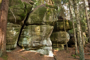 Landscape with picturesque rocks in the forest. Table mountains in Poland