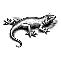 Naklejka premium Gecko Lizard Detailed Antique Black and White Outline Line Art Drawing Animal Reptile Isolated
