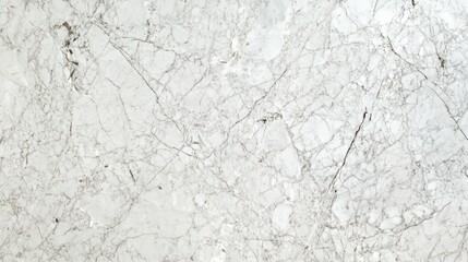 Fototapeta premium Elegant white marble surface adorned with soft gray veining for a serene and modern aesthetic in minimalist design