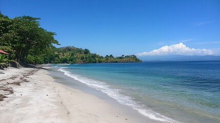Secluded tropical beach with white sand, turquoise water, and lush greenery under a clear blue sky.