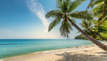Beautiful tropical beach with palm trees, sunset beach seascape, design template for travel banner.