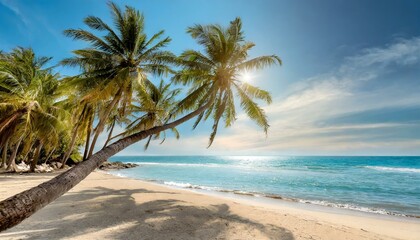 Obraz premium Beautiful tropical beach with palm trees, sunset beach seascape, design template for travel banner.