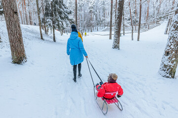 A woman in a blue coat pulling a child in a red jacket on a sled through a serene, snow-covered forest. The peaceful winter setting captures joy and family fun. 