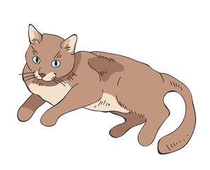 Doodle sketch line art animal cats characters hand drawn isolated set. Modern simple line outline style. Vector cartoon graphic design element illustration