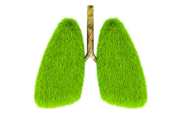 Green grass shaped as human lungs. 3D rendering isolated on transparent background