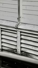 monochrome in January 2025