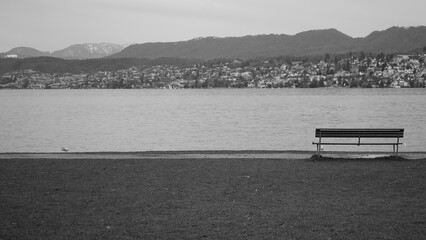 monochrome in January 2025