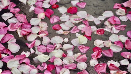 monochrome in January 2025