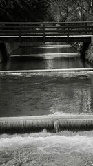 monochrome in January 2025