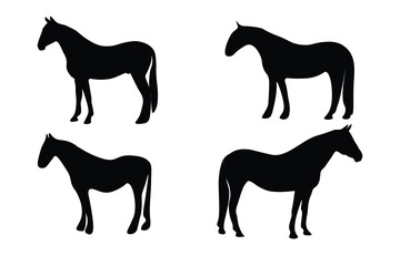 Black horse silhouette illustration
