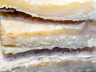 Salt cod fish