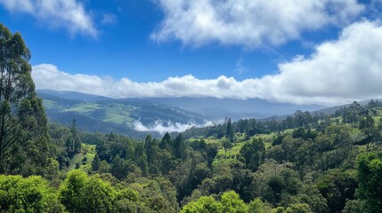Fototapeta premium Majestic Mountain Range and Lush Forest View