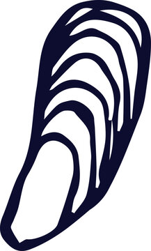 Vector doodle illustration of a shell