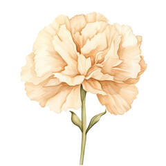 Beautiful Flower Clipart Vector Illustration - Floral Design for Graphics