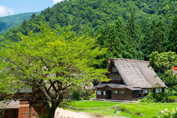五箇山・菅沼合掌造り集落