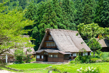 五箇山・菅沼合掌造り集落