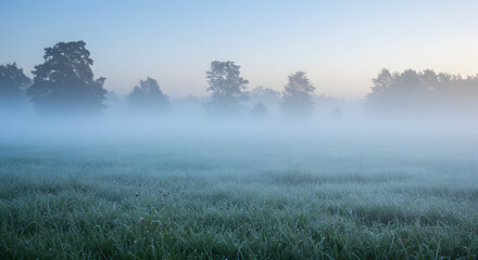 A subtly hazy scene featuring dew-laden grass and trees enveloped in the tranquil mist of dawn.