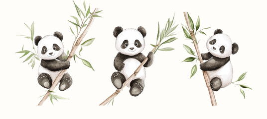 Watercolor Safari Animal Illustrations Panda. Cute Safari Wildlife Watercolor Paintings Collection © lukulo