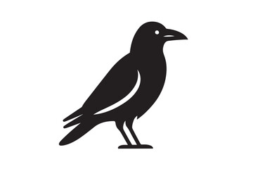 Crow vector silhouette artwork 