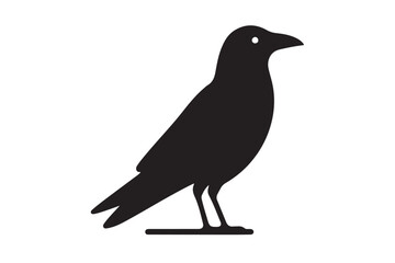 Fototapeta premium Crow vector silhouette artwork 