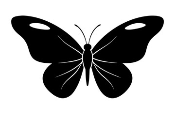 butterfly isolated on white background