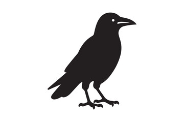 Crow vector silhouette artwork 