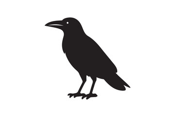 Crow vector silhouette artwork 